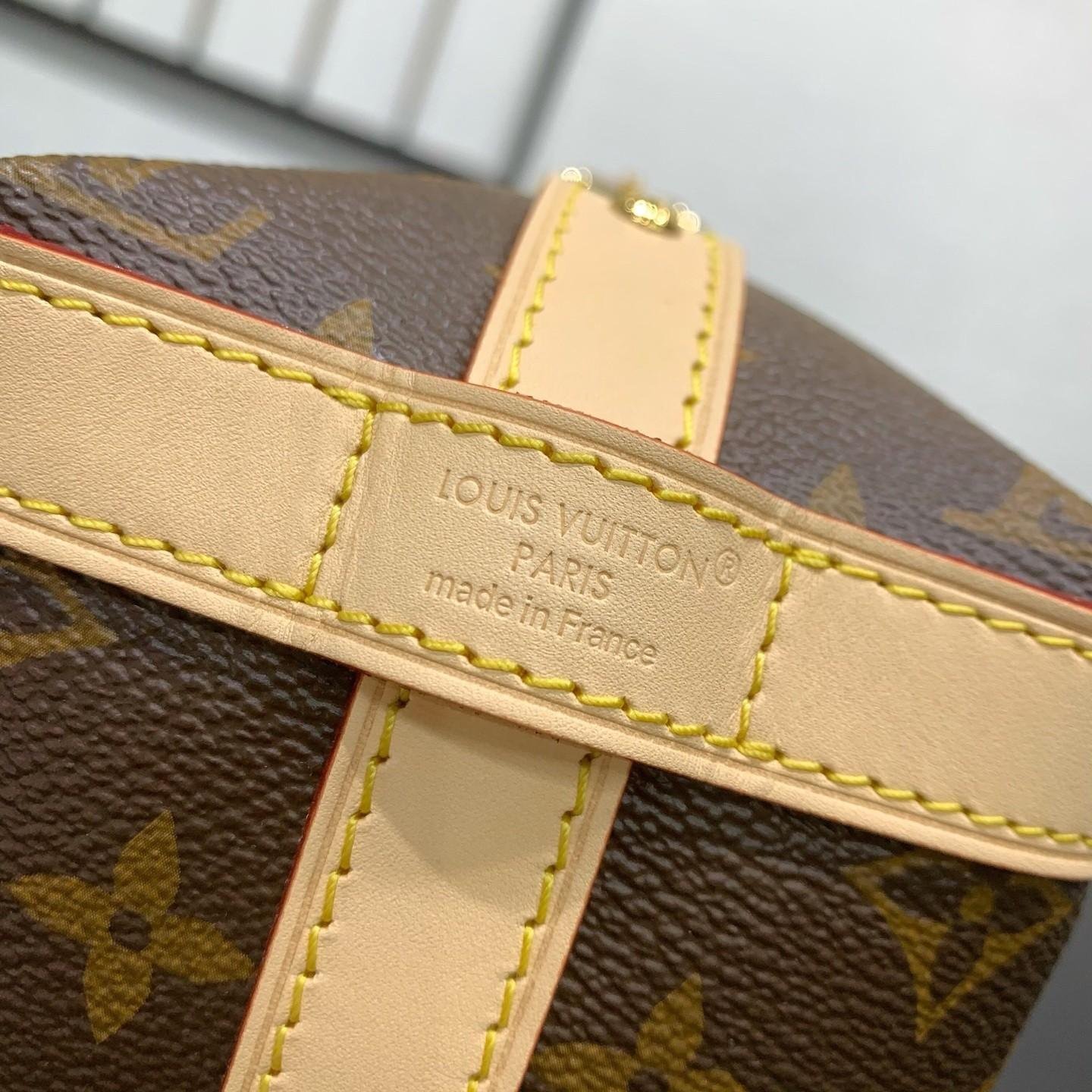 【LOUIS VUITTON】LV Bag OG - 图片 8