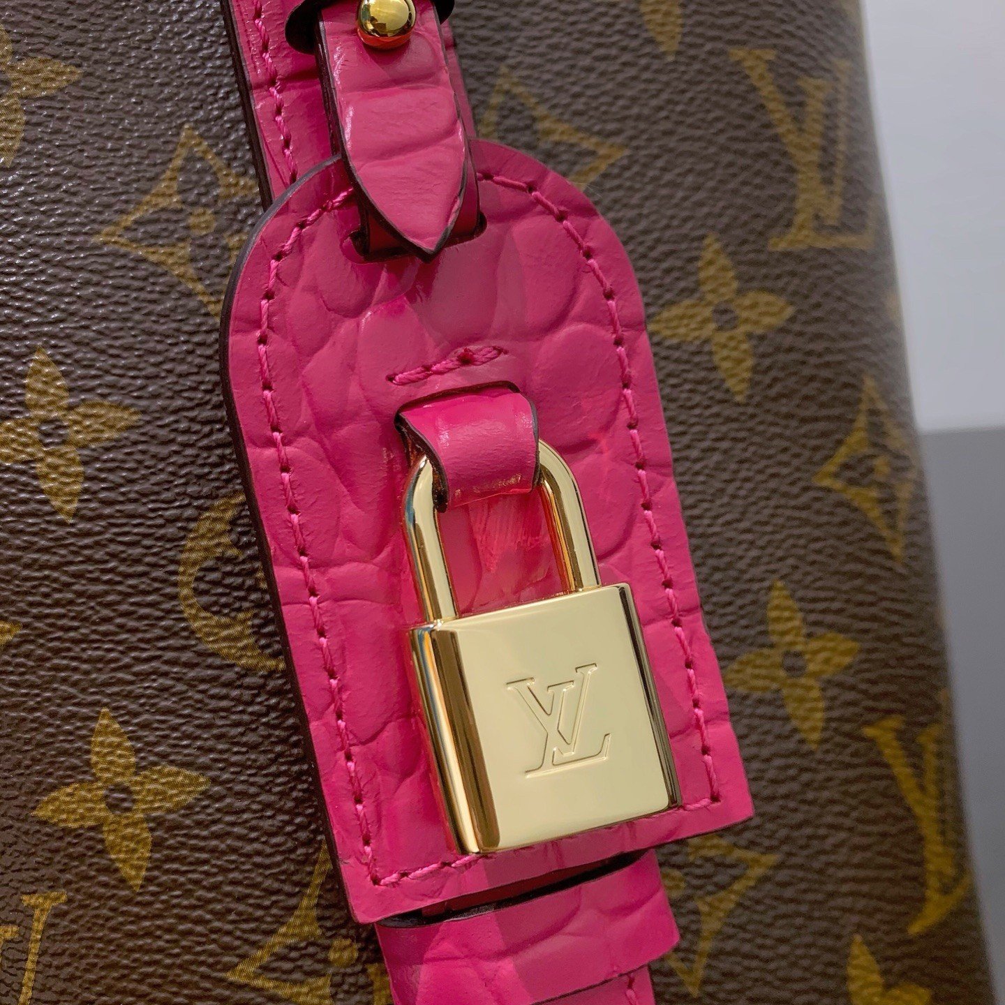 【LOUIS VUITTON】LV Bag OG - 图片 9