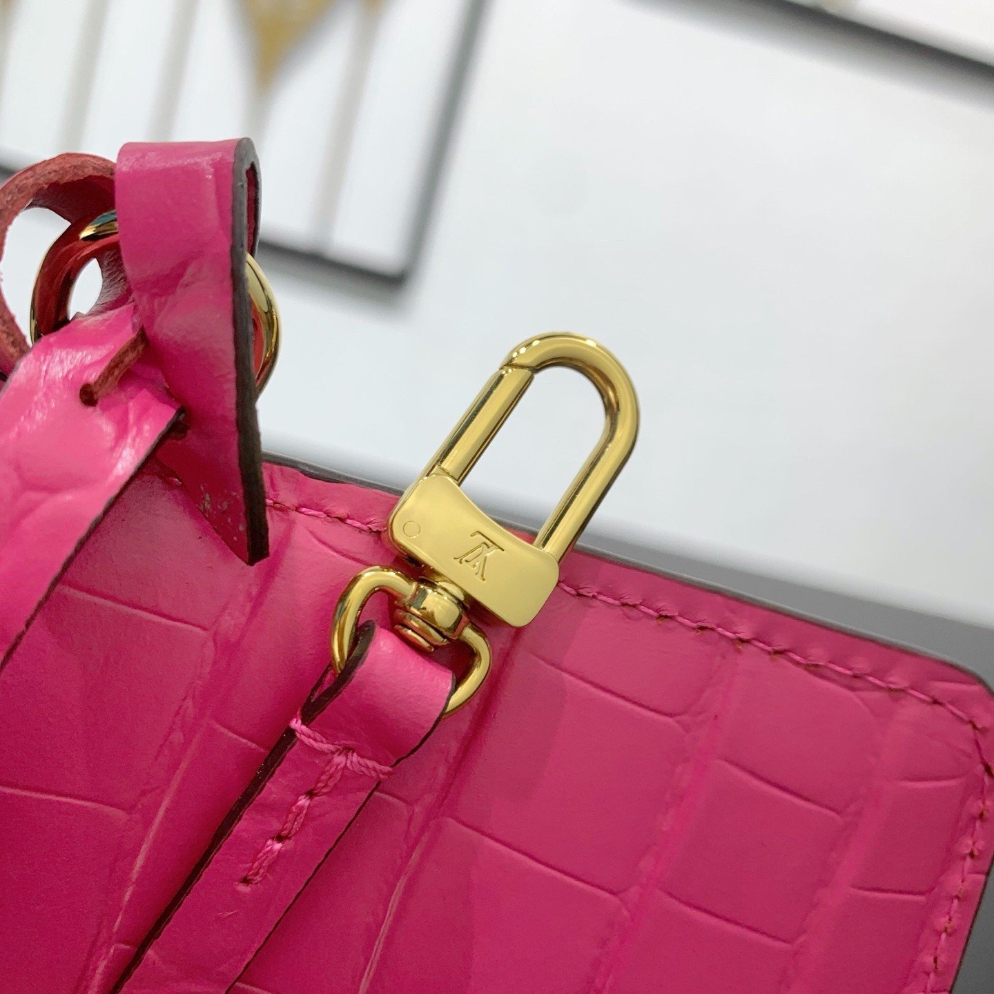 【LOUIS VUITTON】LV Bag OG - 图片 12