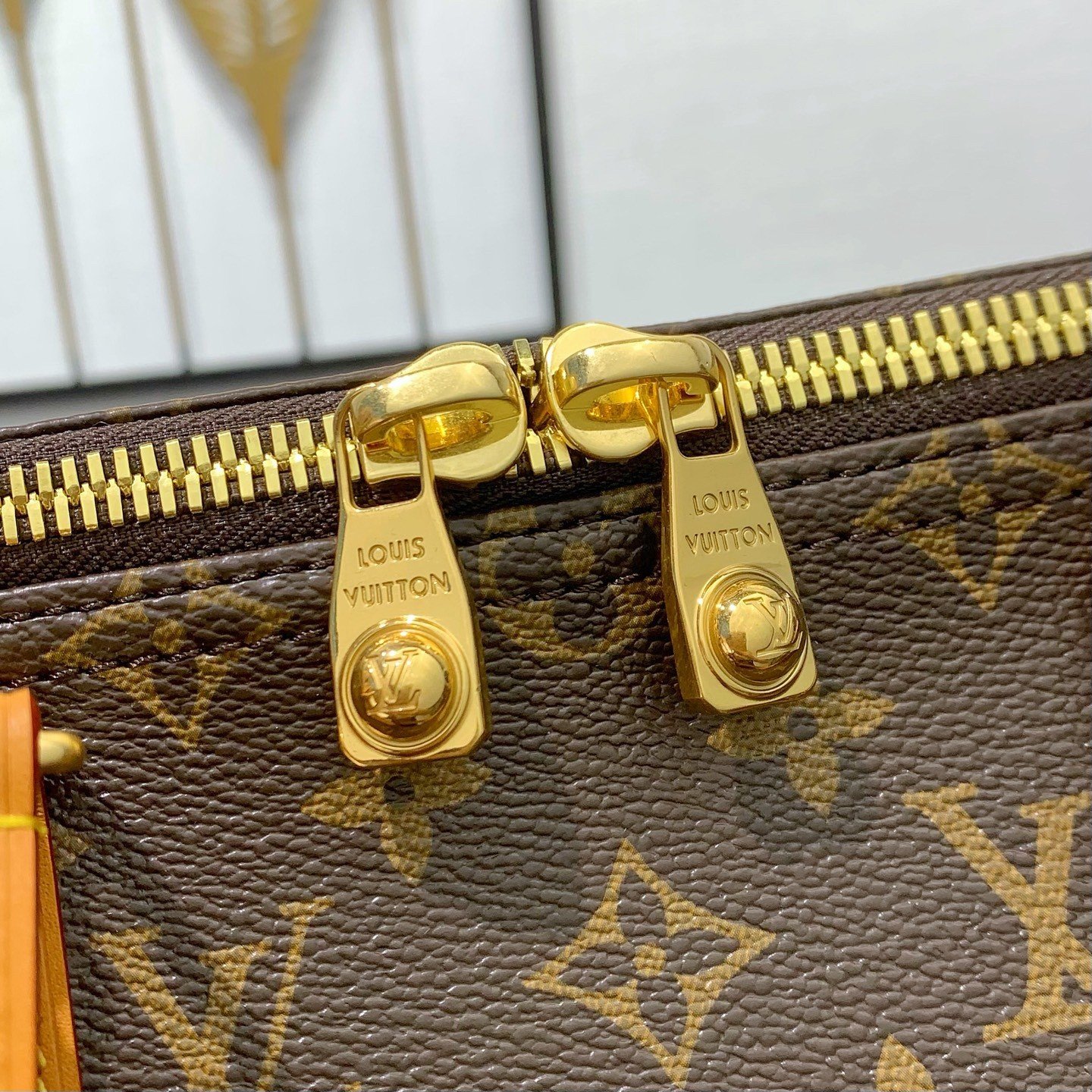 【LOUIS VUITTON】LV Bag OG - 图片 5