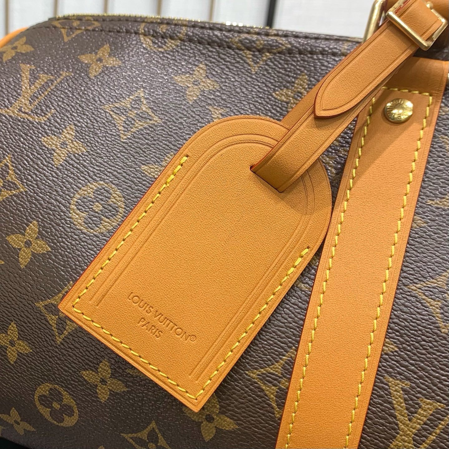 【LOUIS VUITTON】LV Bag OG - 图片 6
