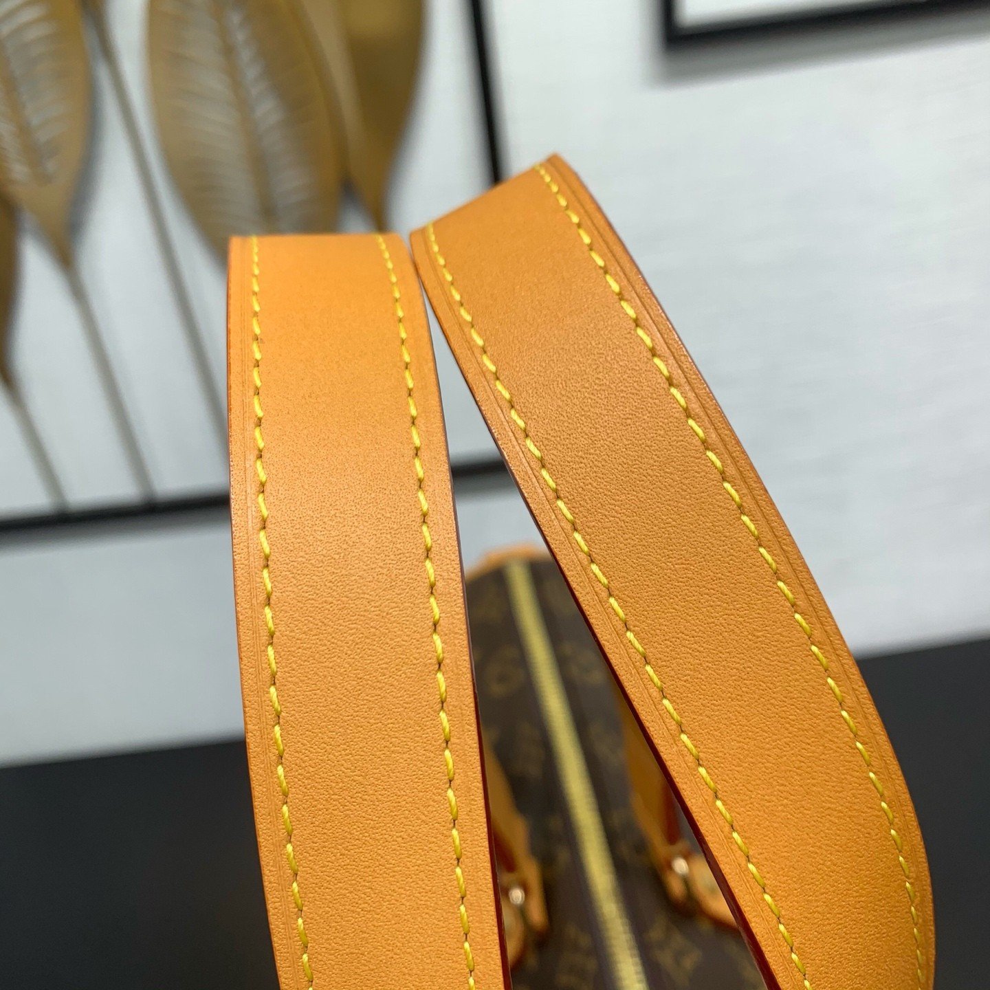 【LOUIS VUITTON】LV Bag OG - 图片 8
