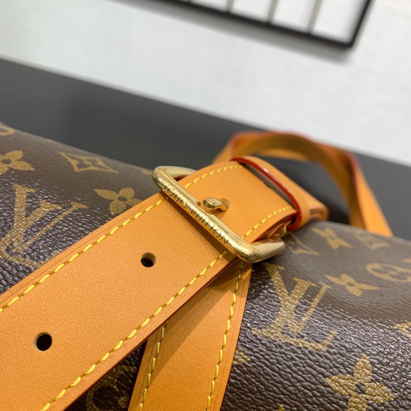 【LOUIS VUITTON】LV Bag OG - 图片 9