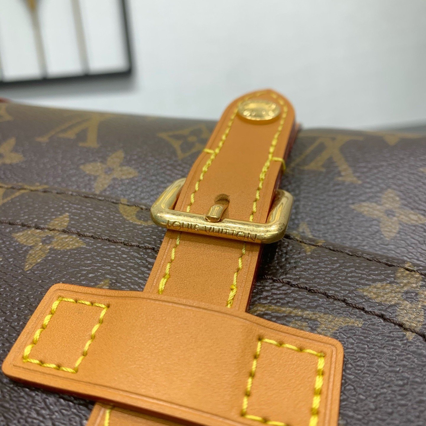 【LOUIS VUITTON】LV Bag OG - 图片 13