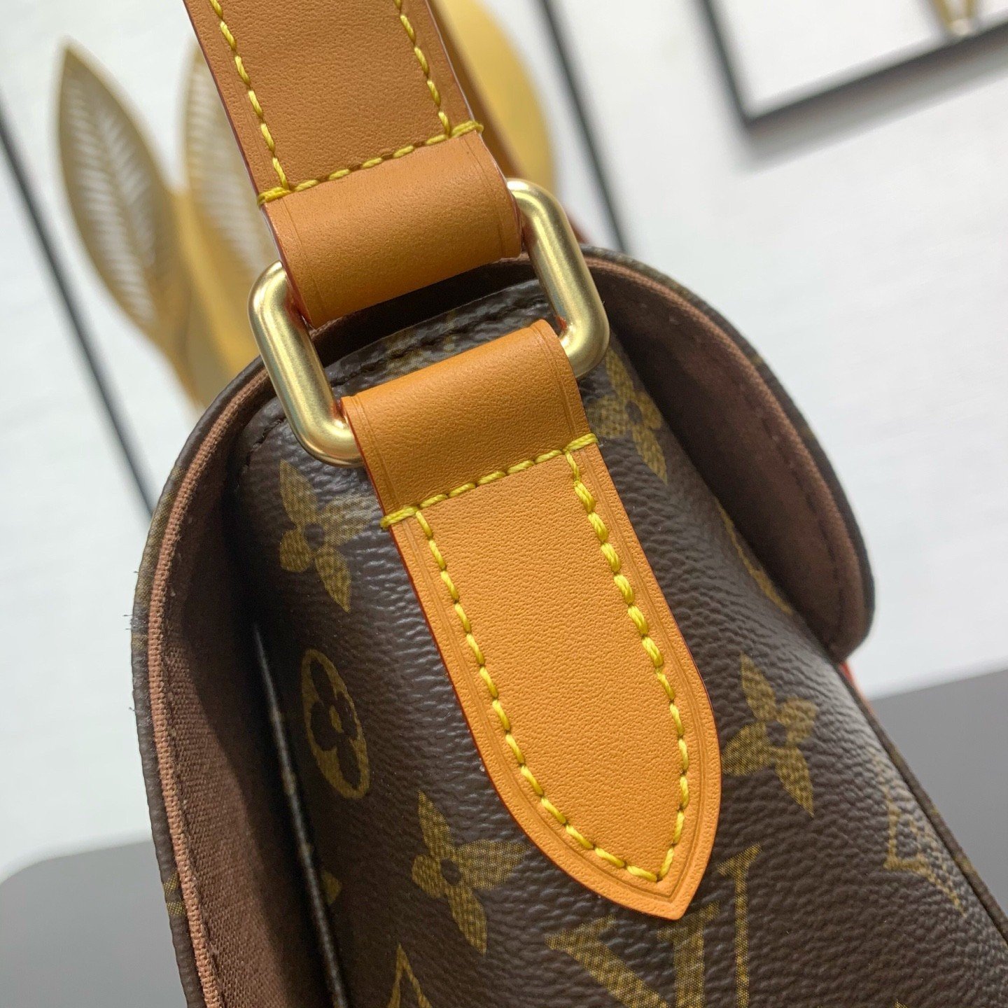 【LOUIS VUITTON】LV Bag OG - 图片 9