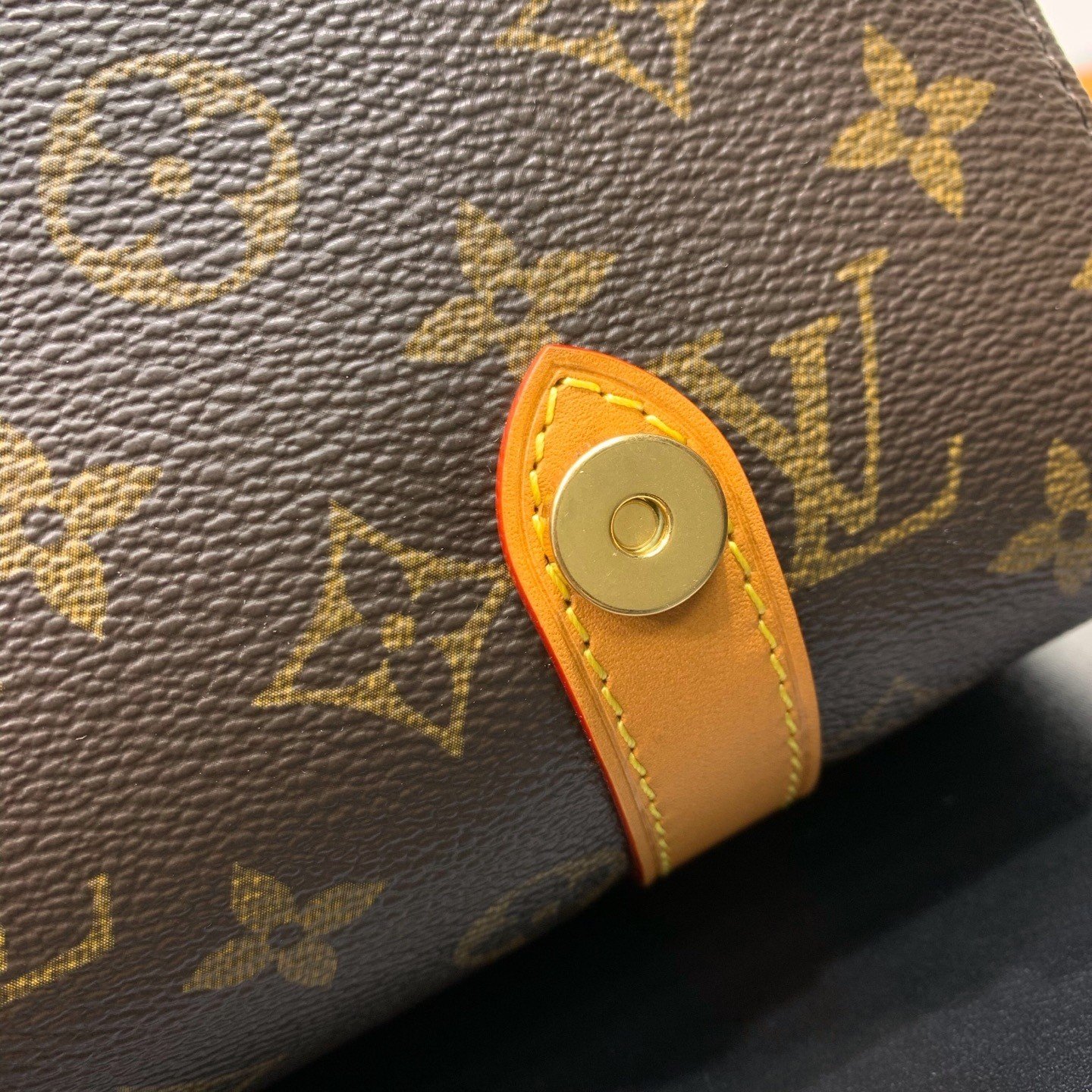 【LOUIS VUITTON】LV Bag OG - 图片 14