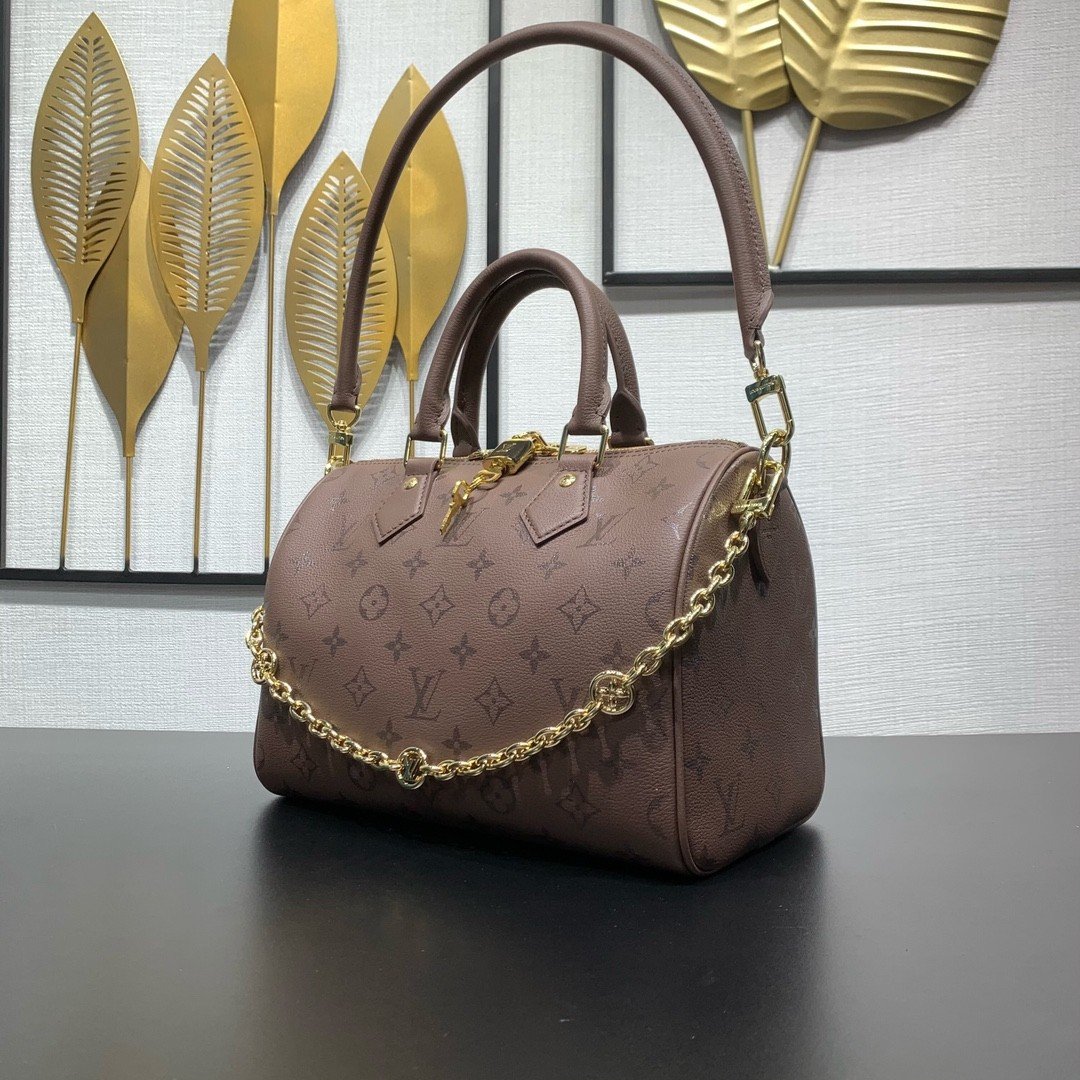 【LOUIS VUITTON】LV Bag OG - 图片 2