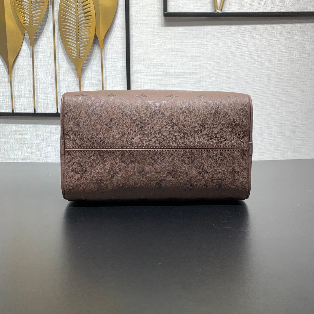 【LOUIS VUITTON】LV Bag OG - 图片 3
