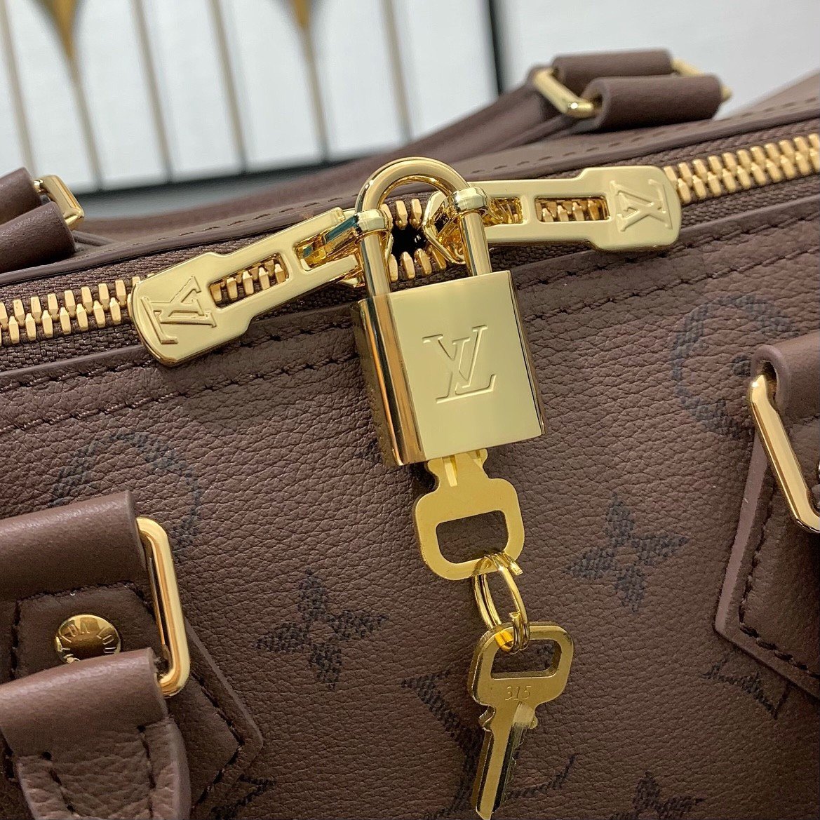 【LOUIS VUITTON】LV Bag OG - 图片 6