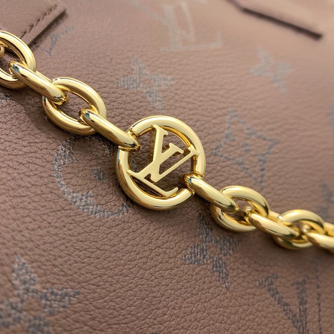 【LOUIS VUITTON】LV Bag OG - 图片 8