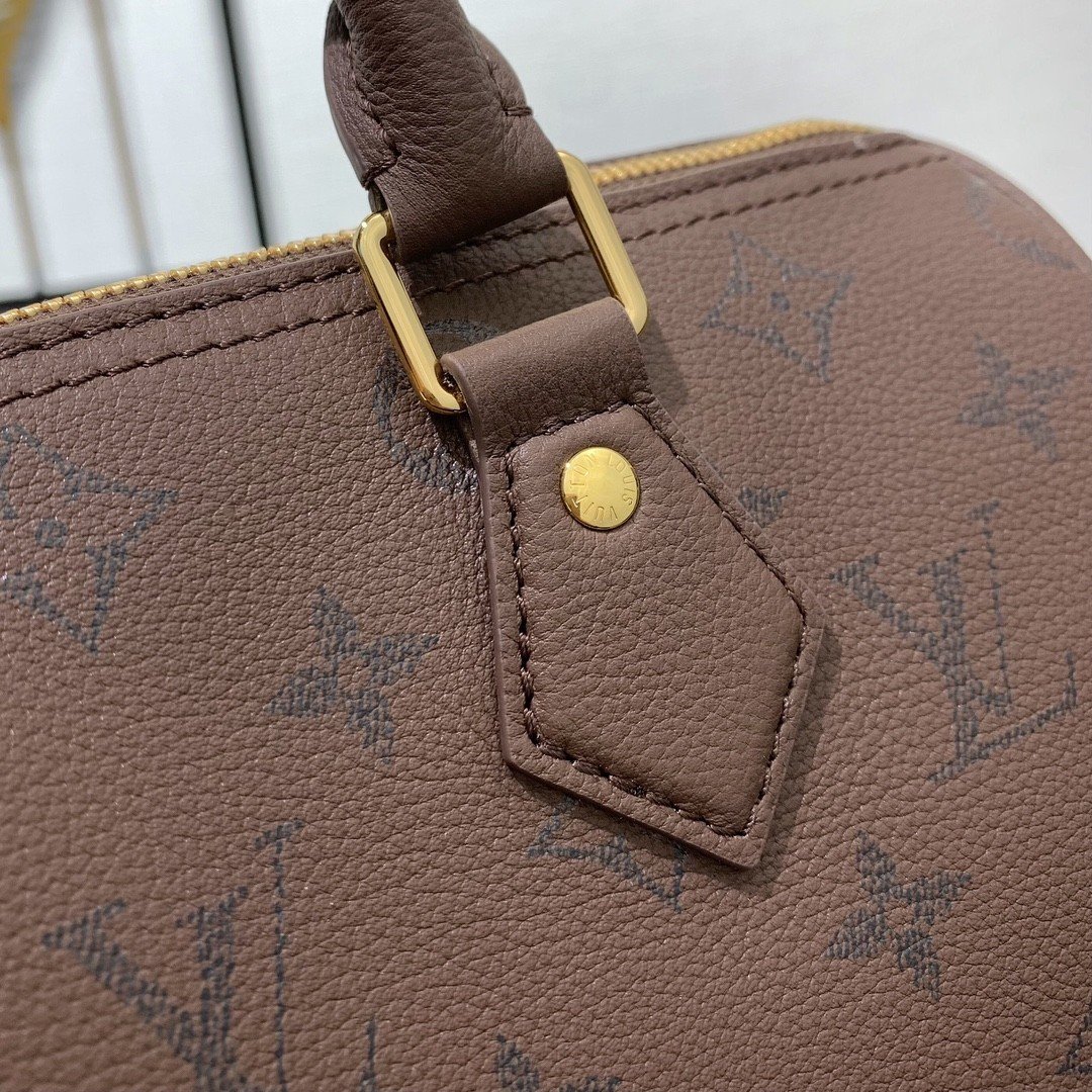【LOUIS VUITTON】LV Bag OG - 图片 9