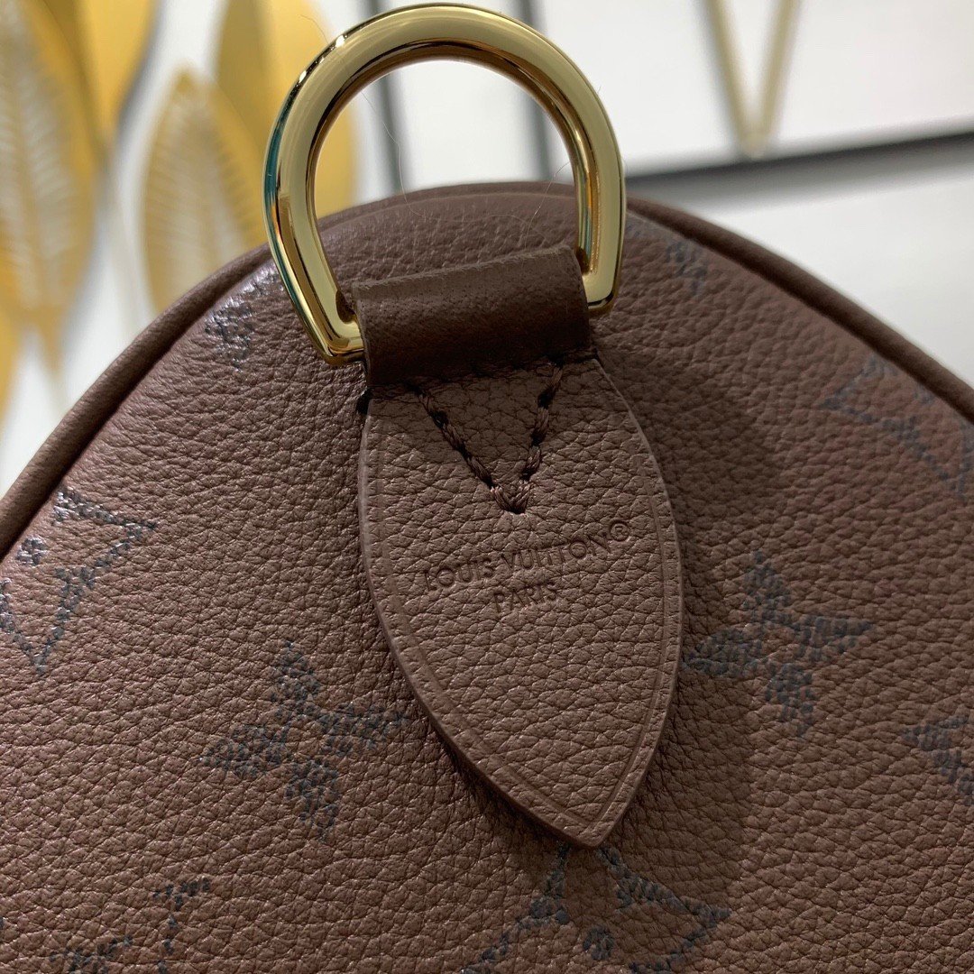 【LOUIS VUITTON】LV Bag OG - 图片 10