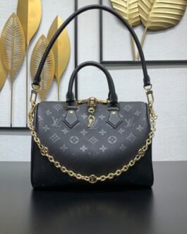 【LOUIS VUITTON】LV Bag OG