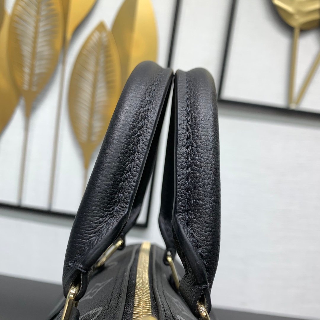 【LOUIS VUITTON】LV Bag OG - 图片 9