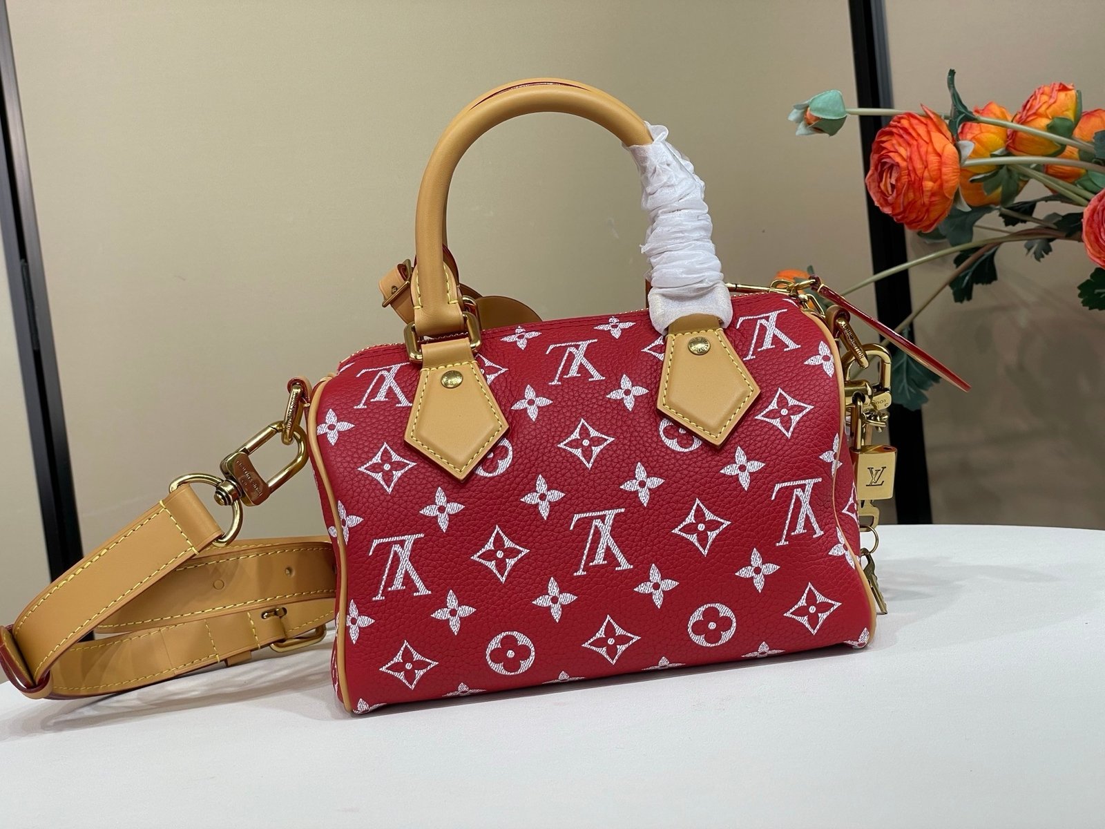 【LOUIS VUITTON】LV Bag OG - 图片 3
