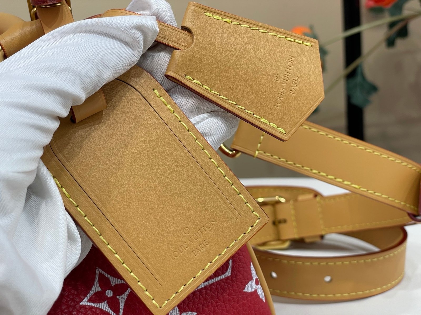 【LOUIS VUITTON】LV Bag OG - 图片 5