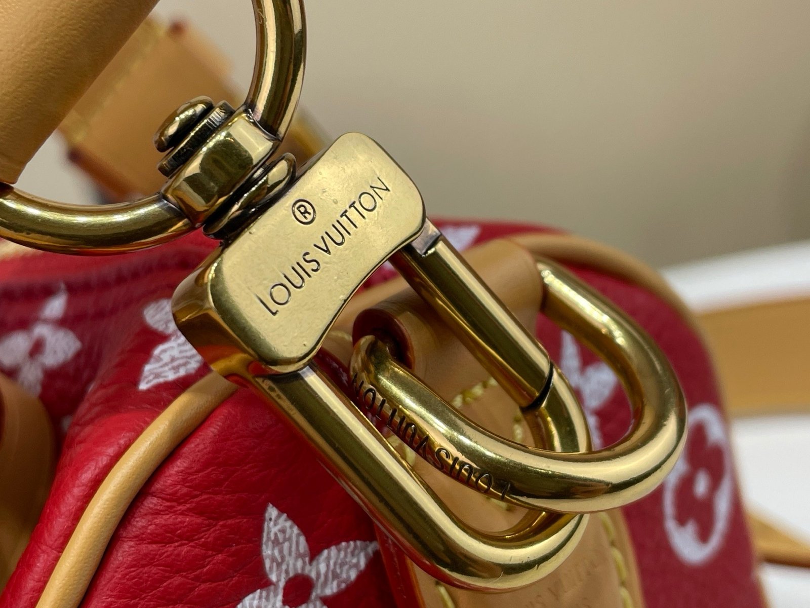 【LOUIS VUITTON】LV Bag OG - 图片 6