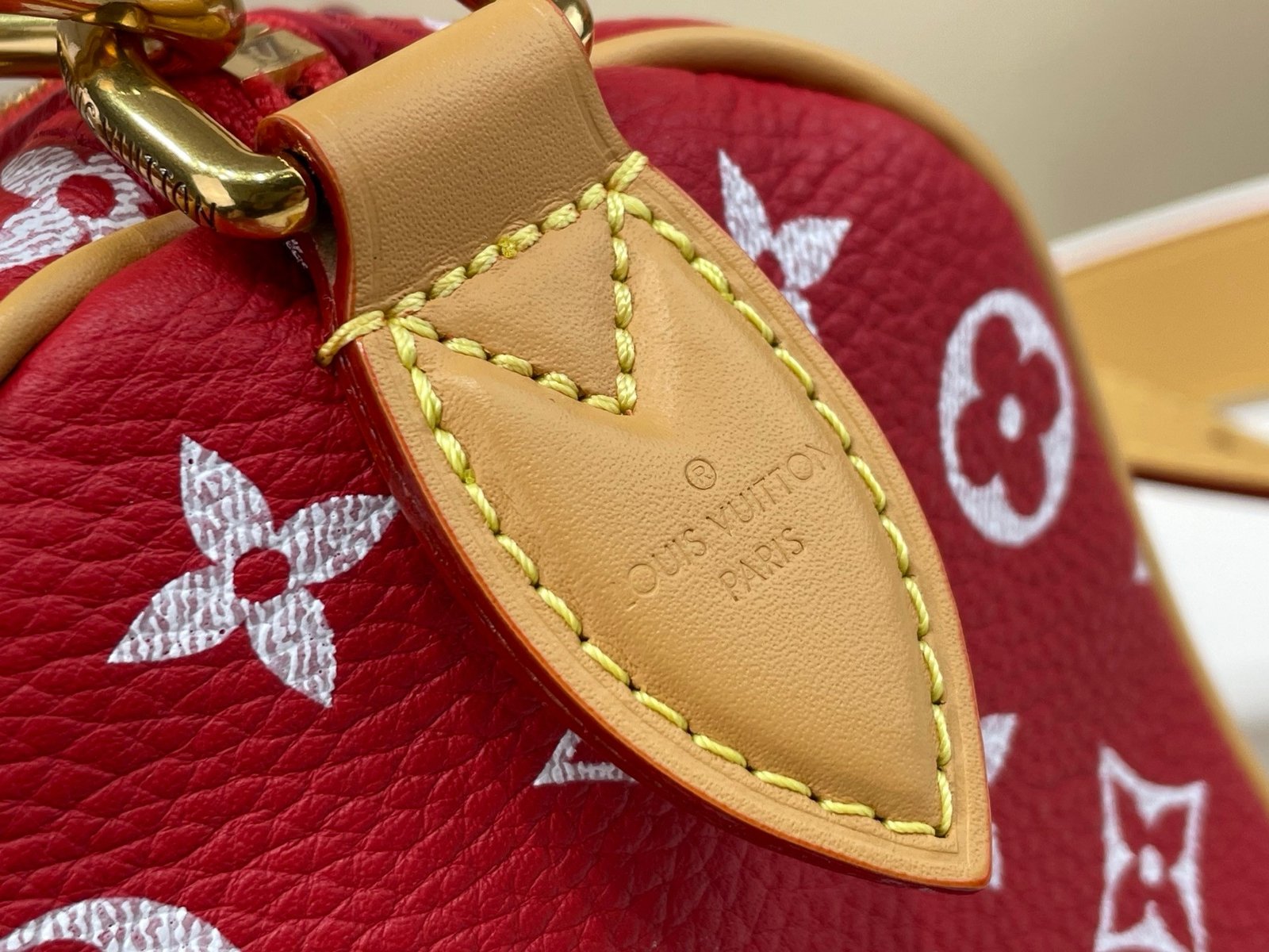 【LOUIS VUITTON】LV Bag OG - 图片 7
