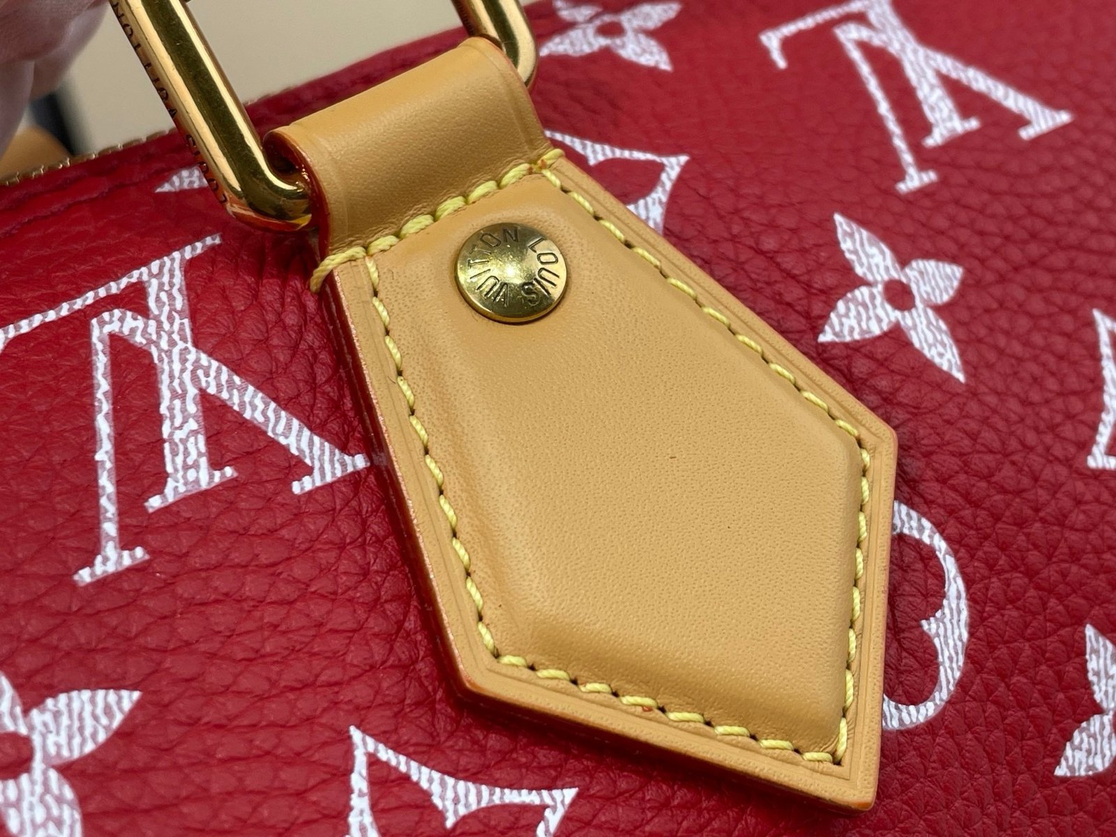 【LOUIS VUITTON】LV Bag OG - 图片 9