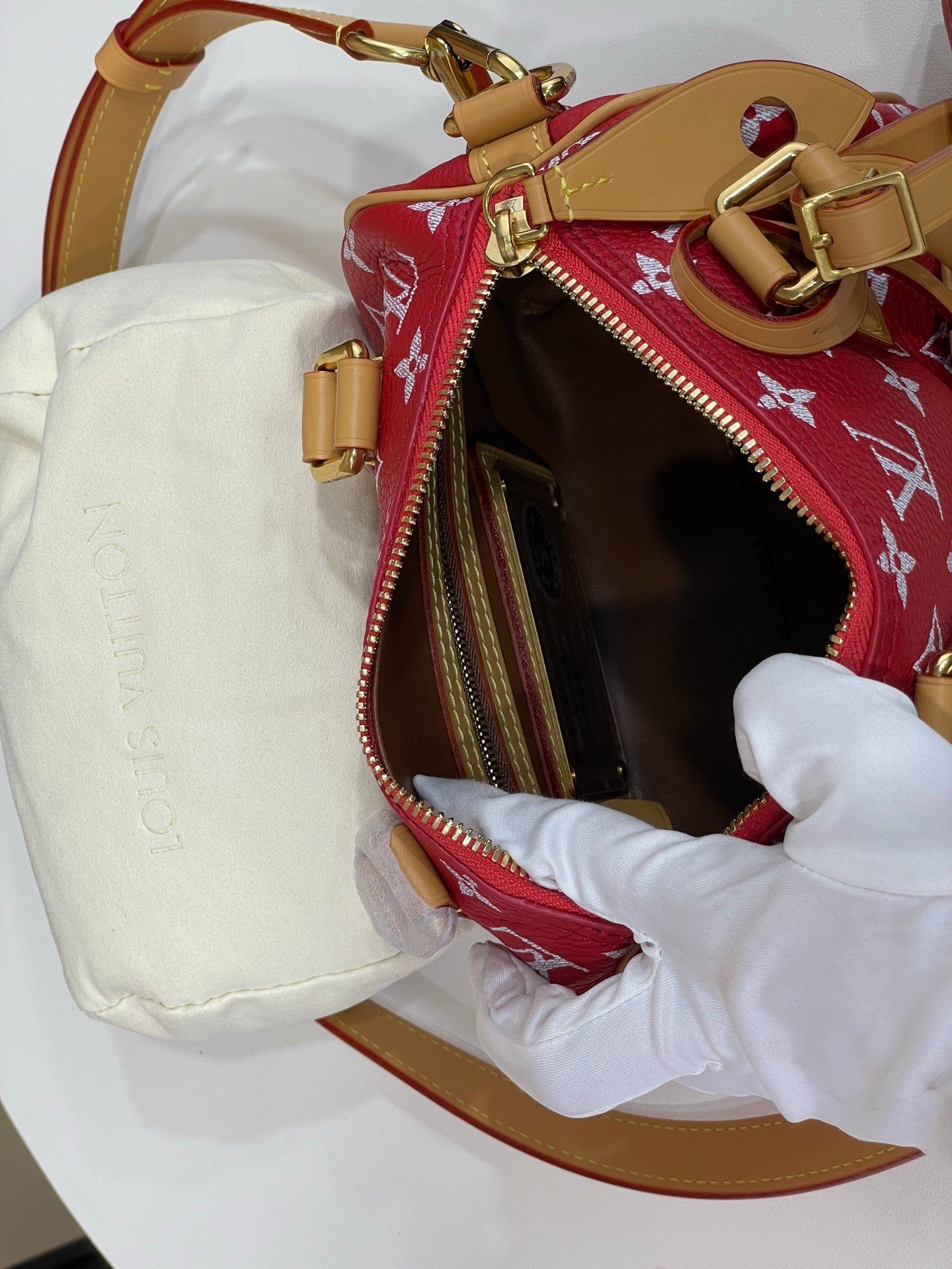 【LOUIS VUITTON】LV Bag OG - 图片 10