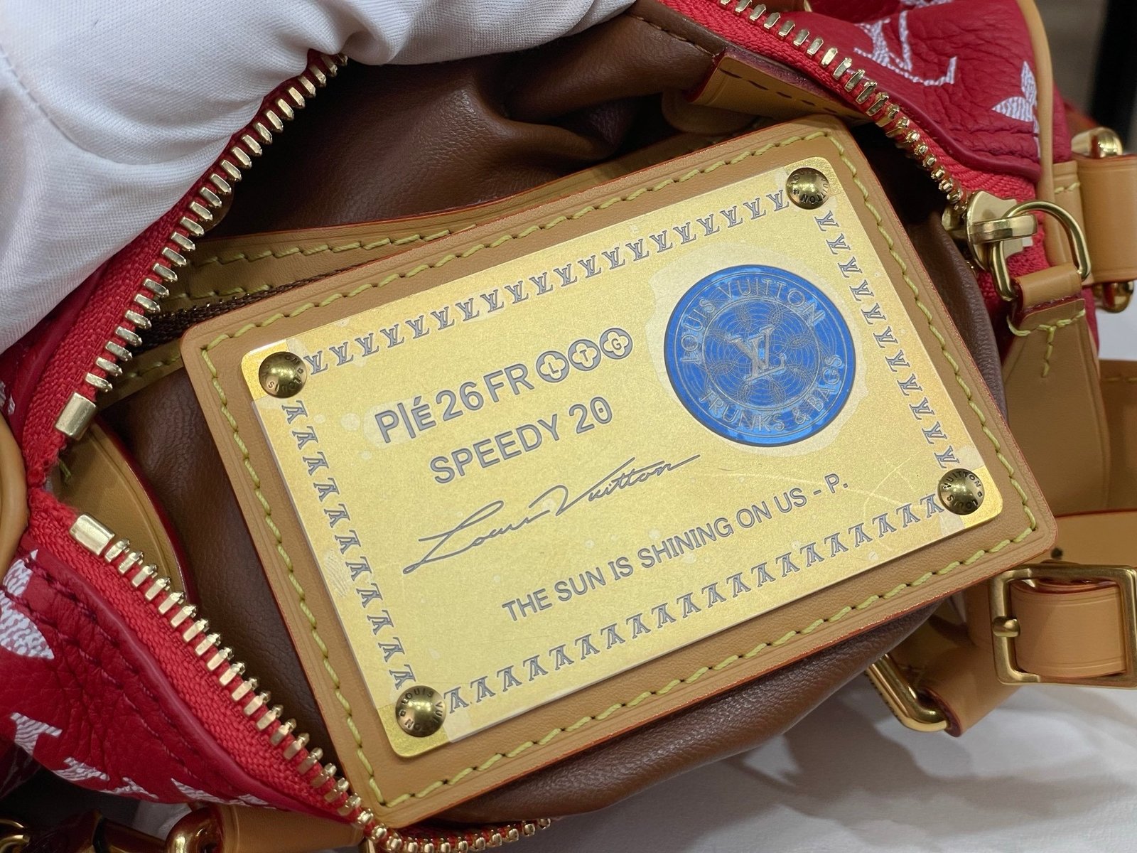 【LOUIS VUITTON】LV Bag OG - 图片 11
