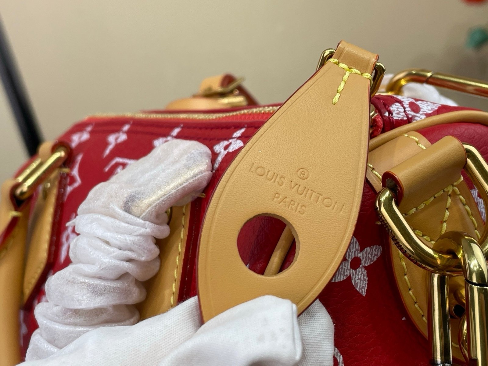 【LOUIS VUITTON】LV Bag OG - 图片 12