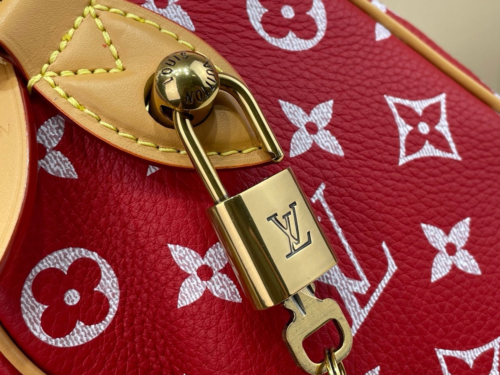 【LOUIS VUITTON】LV Bag OG - 图片 13