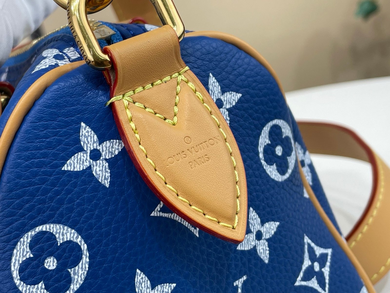 【LOUIS VUITTON】LV Bag OG - 图片 9