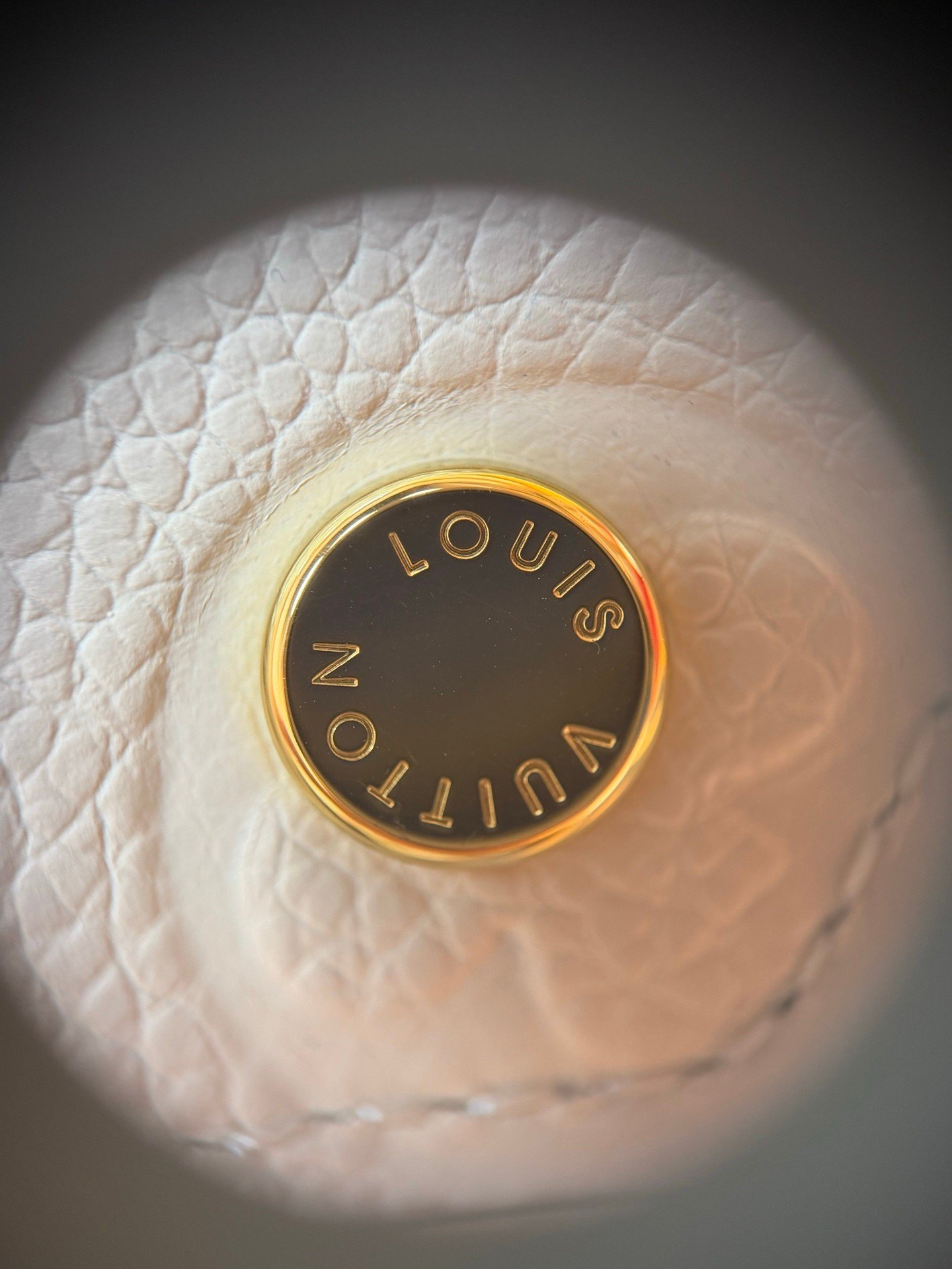 【LOUIS VUITTON】LV Bag OG - 图片 9
