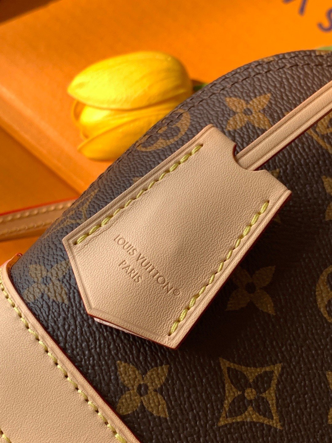 【LOUIS VUITTON】LV Bag OG - 图片 8