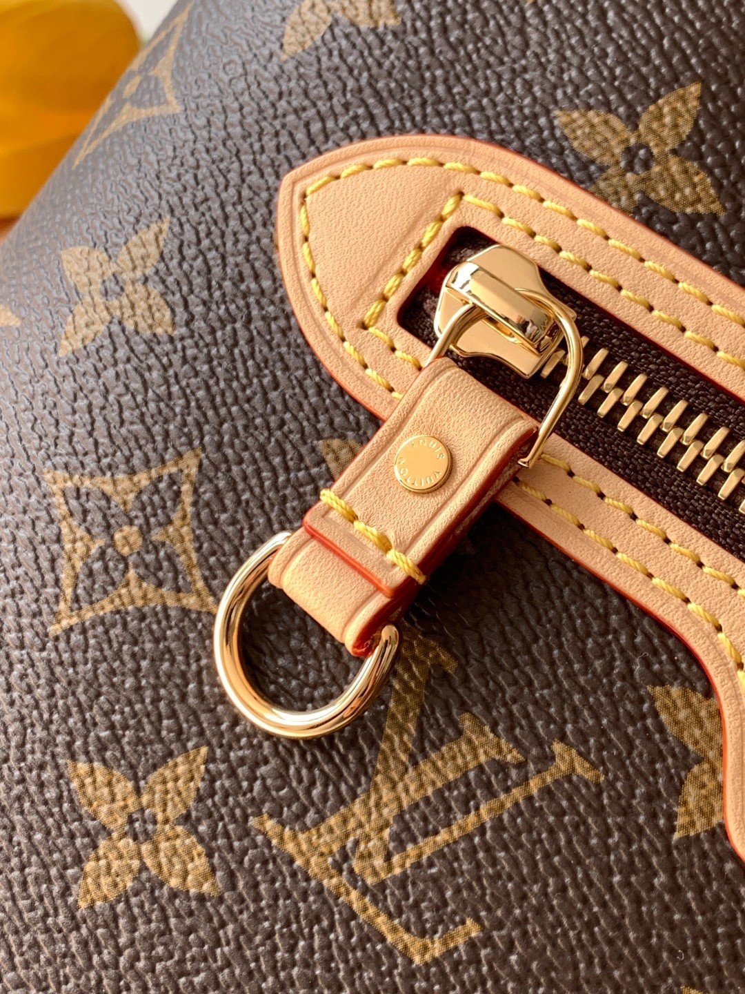 【LOUIS VUITTON】LV Bag OG - 图片 6