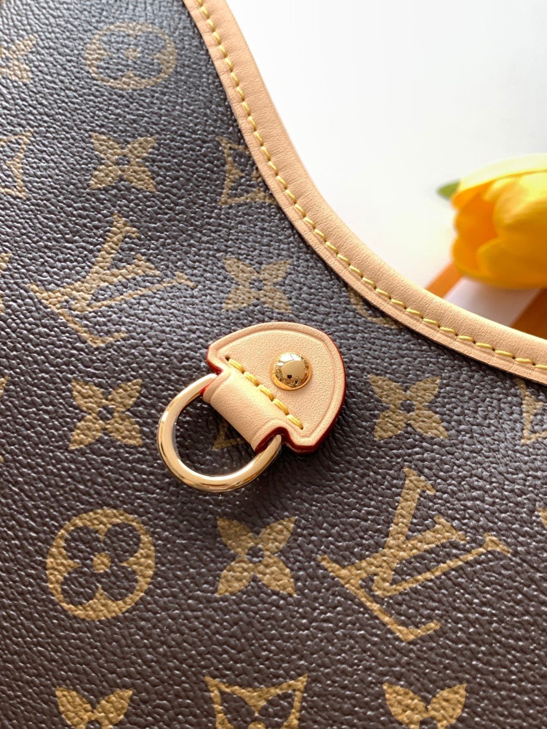【LOUIS VUITTON】LV Bag OG - 图片 7