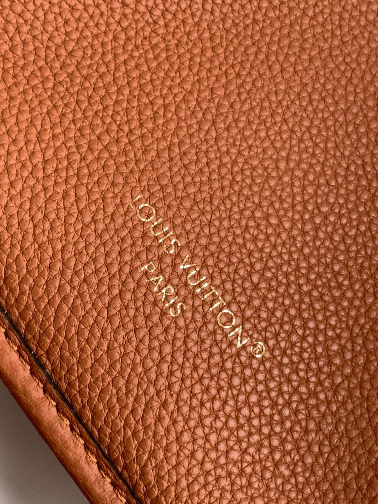 【LOUIS VUITTON】LV Bag OG - 图片 6