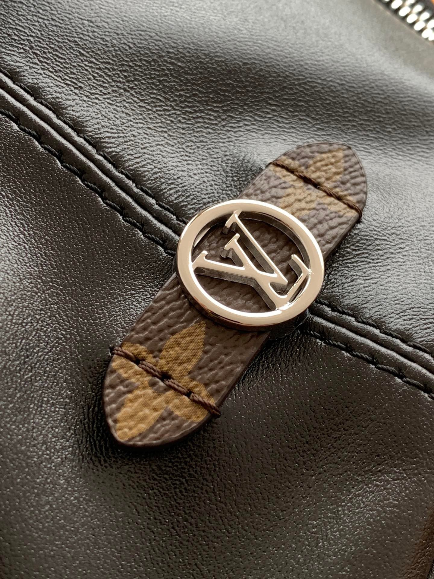 【LOUIS VUITTON】LV Bag OG - 图片 8