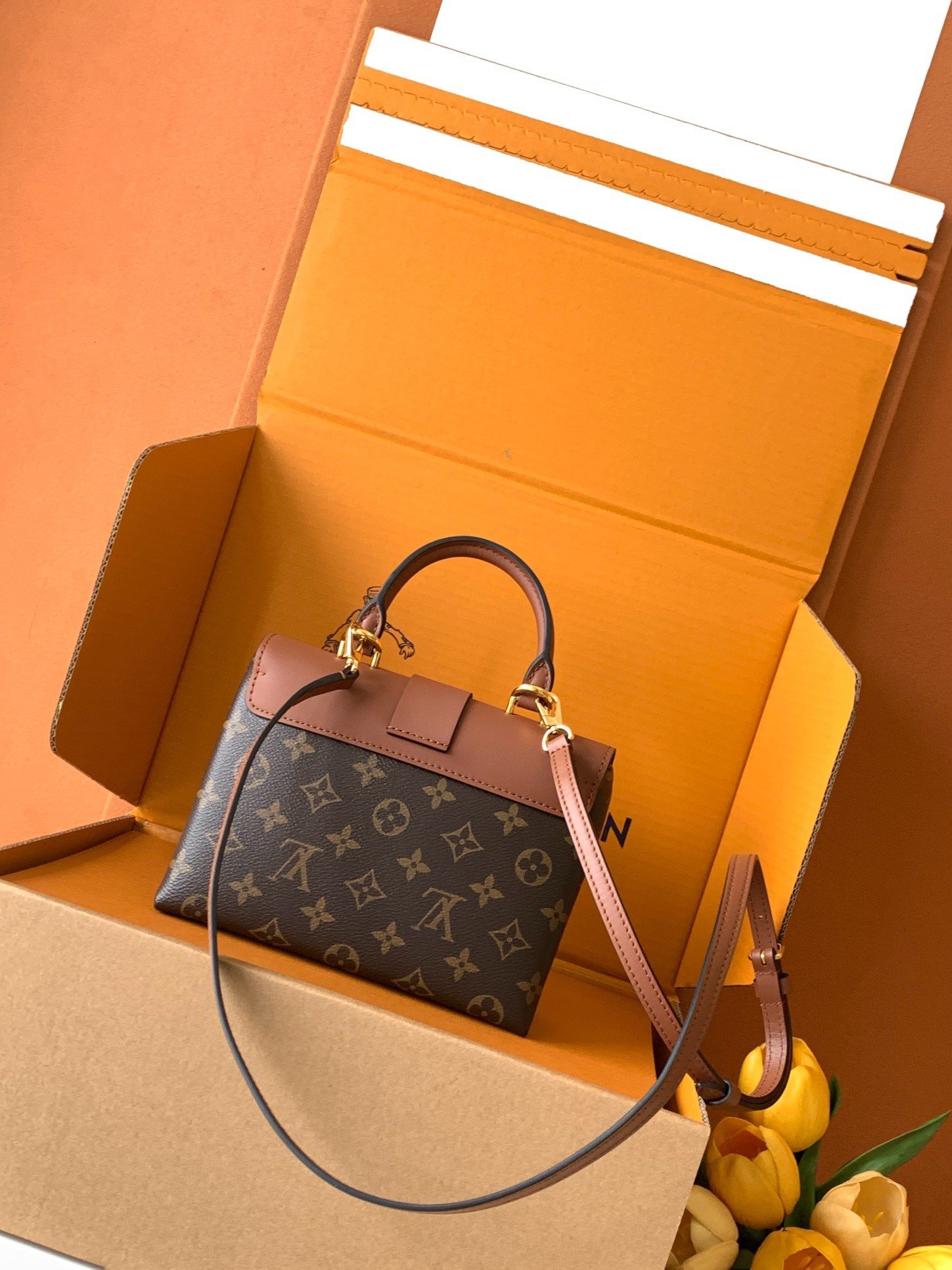 【LOUIS VUITTON】LV Bag OG - 图片 3