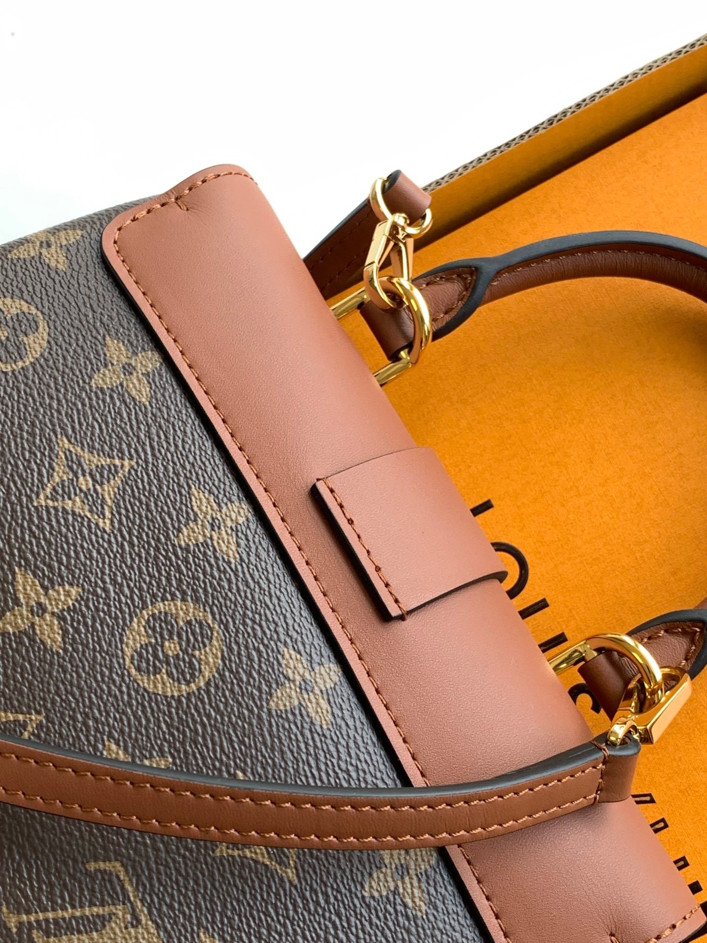 【LOUIS VUITTON】LV Bag OG - 图片 9