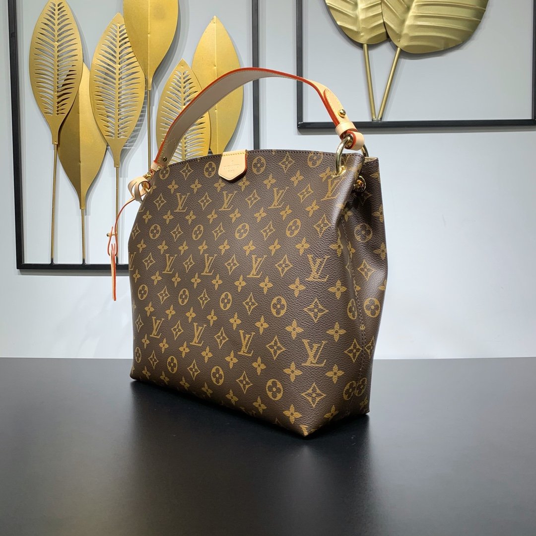 【LOUIS VUITTON】LV Bag OG - 图片 2