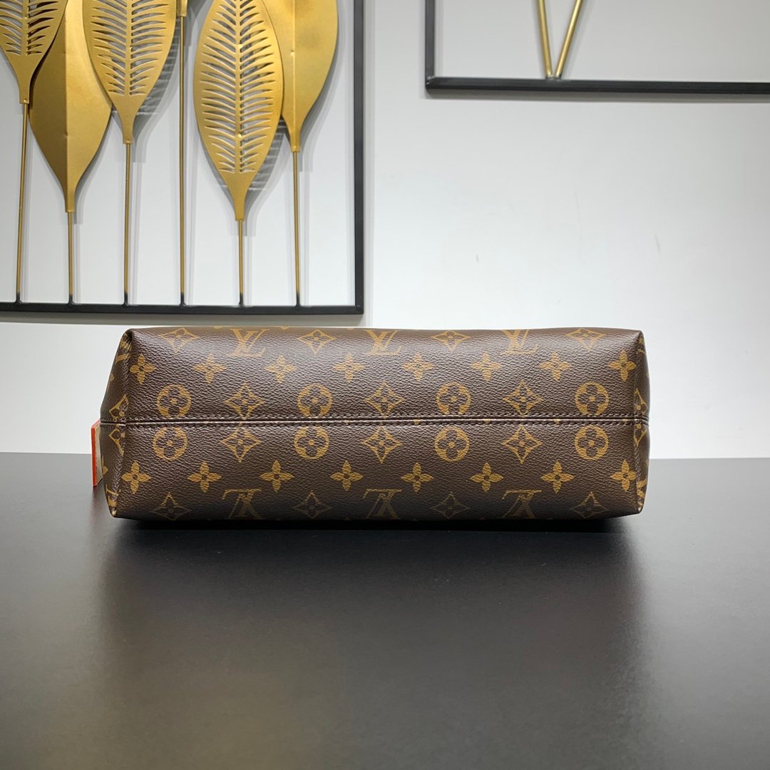 【LOUIS VUITTON】LV Bag OG - 图片 3