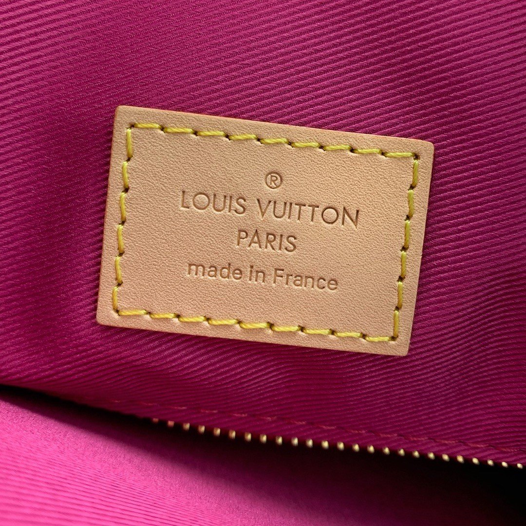 【LOUIS VUITTON】LV Bag OG - 图片 5