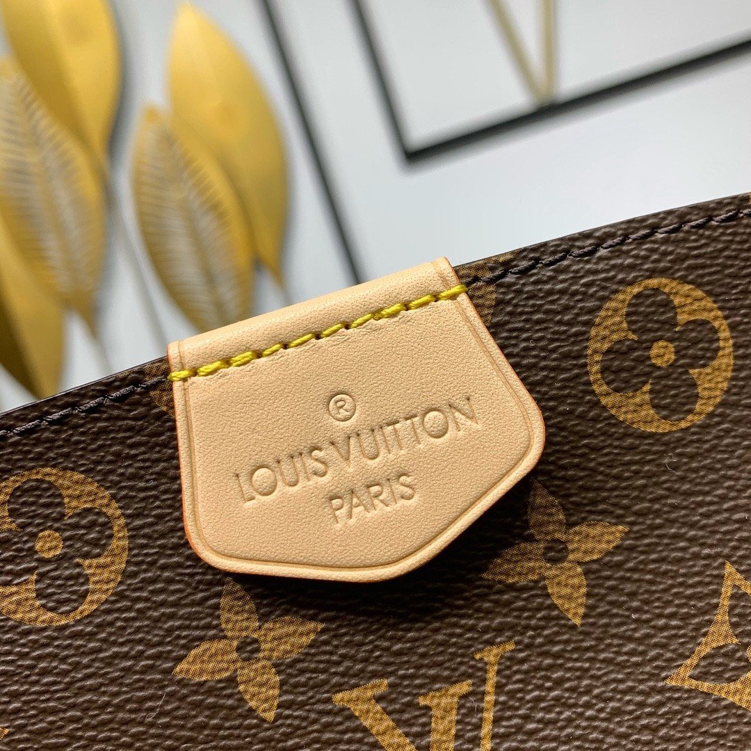 【LOUIS VUITTON】LV Bag OG - 图片 7