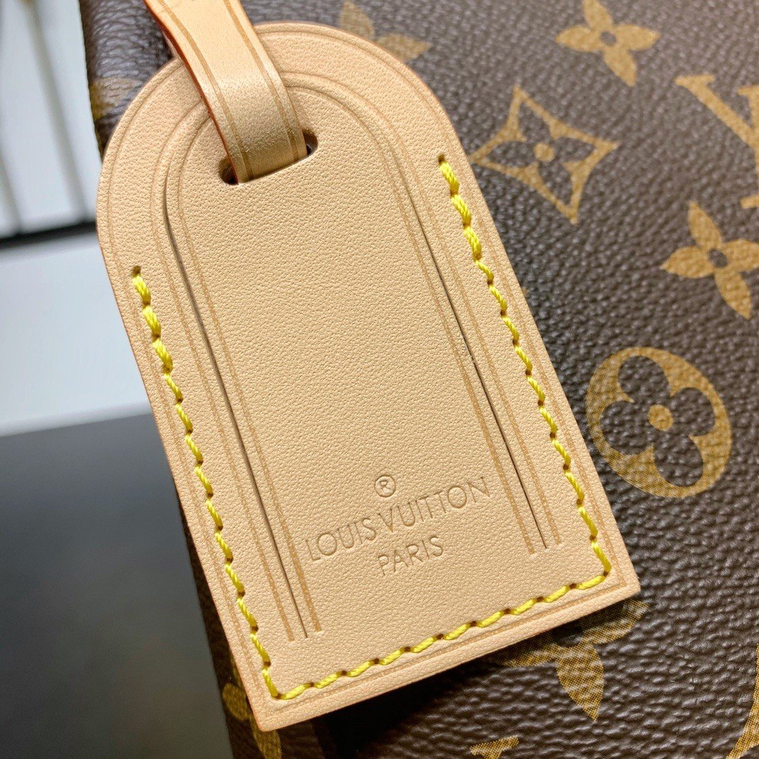 【LOUIS VUITTON】LV Bag OG - 图片 8