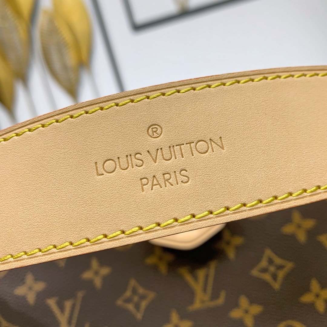 【LOUIS VUITTON】LV Bag OG - 图片 9