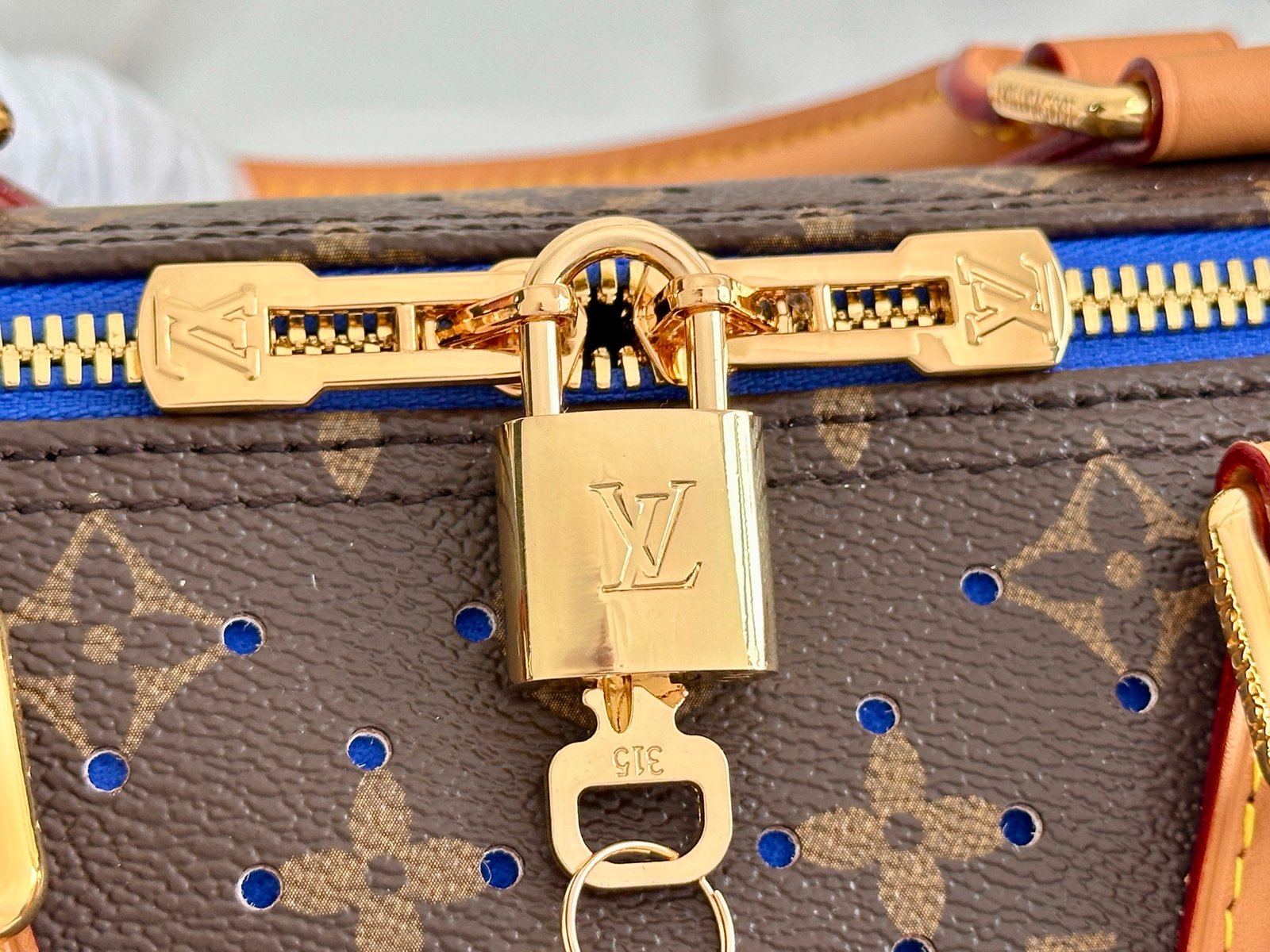 【LOUIS VUITTON】LV Bag OG - 图片 5