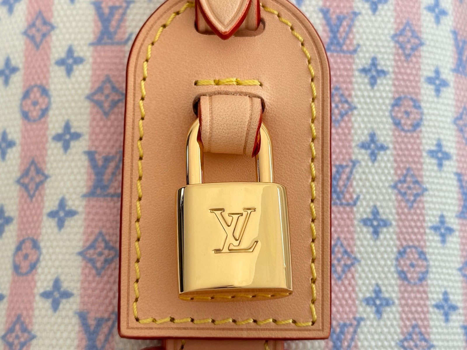 【LOUIS VUITTON】LV Bag OG - 图片 6