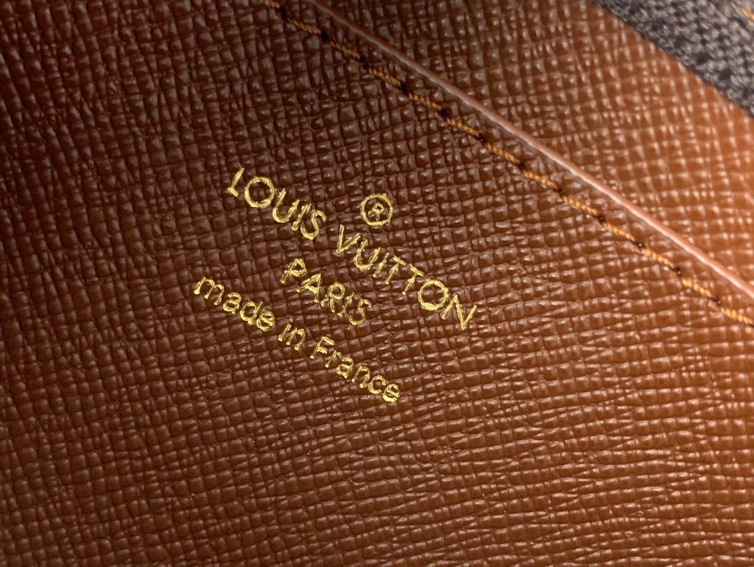 【LOUIS VUITTON】LV Bag OG - 图片 9