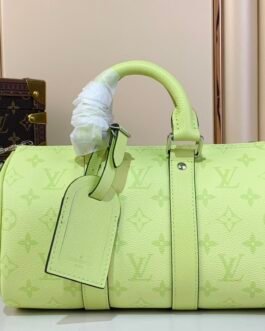 【LOUIS VUITTON】LV Bag OG