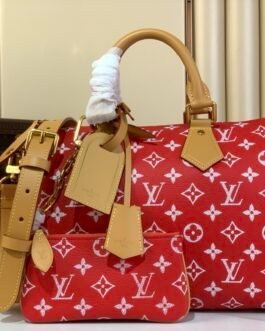 【LOUIS VUITTON】LV Bag OG