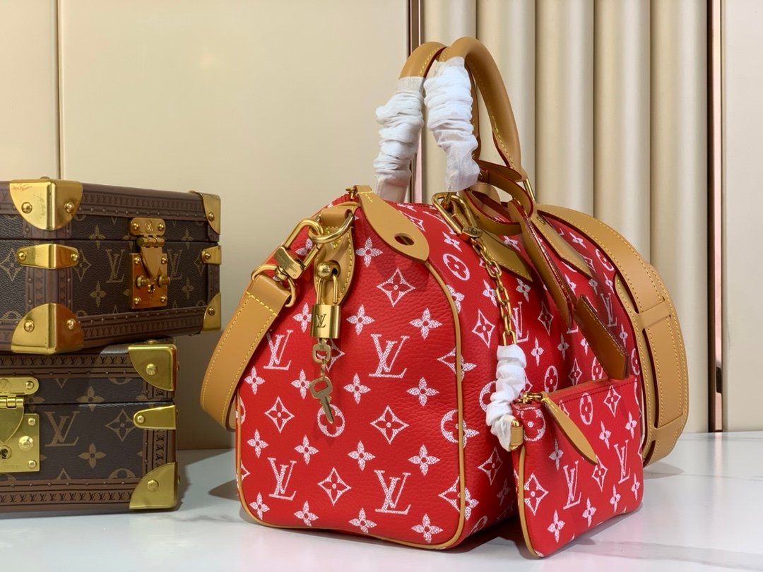 【LOUIS VUITTON】LV Bag OG - 图片 2