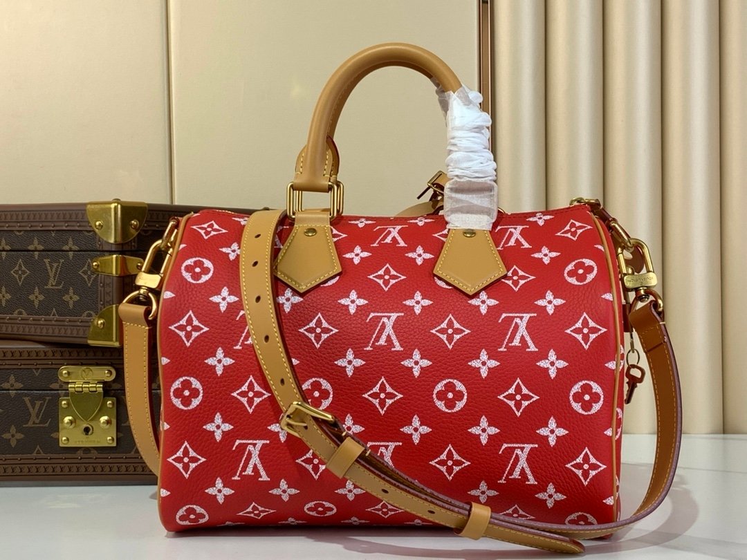 【LOUIS VUITTON】LV Bag OG - 图片 3
