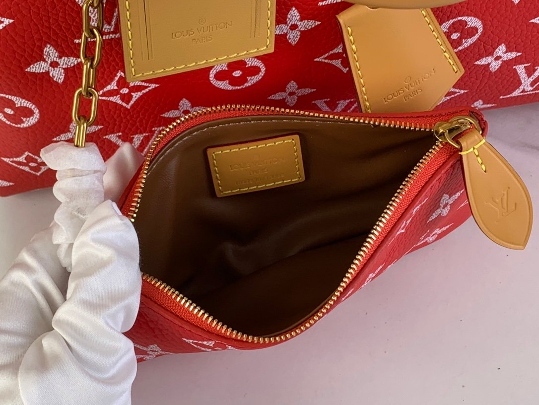 【LOUIS VUITTON】LV Bag OG - 图片 5